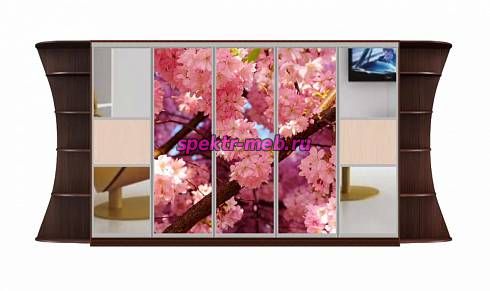 Шкаф-купе Мираж 14