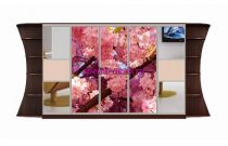 Шкаф-купе Мираж 14