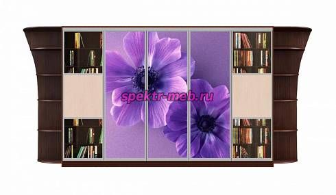 Шкаф-купе Каролина 13