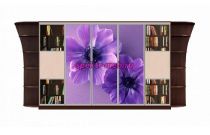 Шкаф-купе Каролина 13