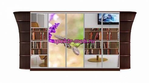 Шкаф-купе Аура 7