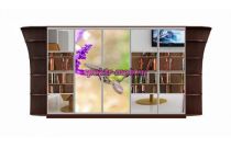 Шкаф-купе Аура 7