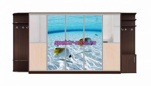 Шкаф-купе Мираж 8