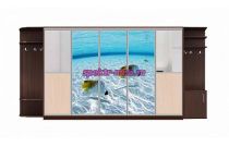 Шкаф-купе Мираж 8