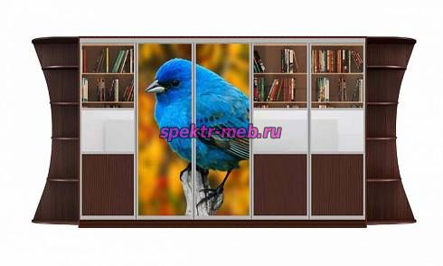 Шкаф-купе Мираж 18