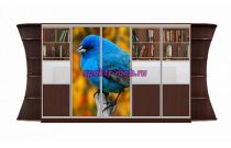 Шкаф-купе Мираж 18