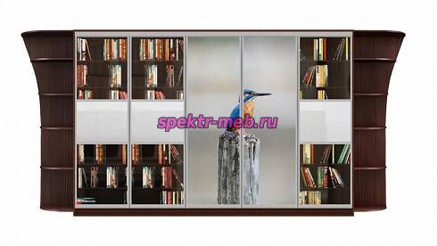 Шкаф-купе Мираж 17