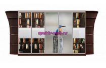 Шкаф-купе Мираж 17