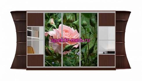 Шкаф-купе Каролина 18