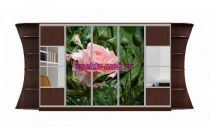 Шкаф-купе Каролина 18