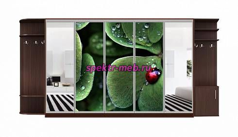 Шкаф-купе Каролина 3