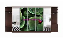 Шкаф-купе Каролина 3