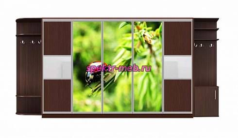 Шкаф-купе Каролина 4