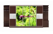 Шкаф-купе Каролина 4