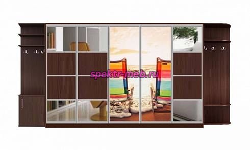 Шкаф-купе Каролина 2