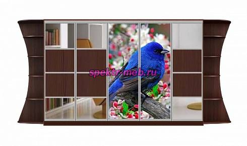 Шкаф-купе Мираж 19