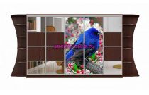 Шкаф-купе Мираж 19