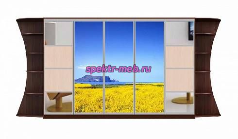 Шкаф-купе Мираж 10