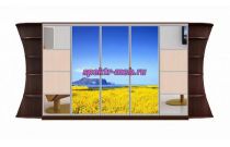 Шкаф-купе Мираж 10