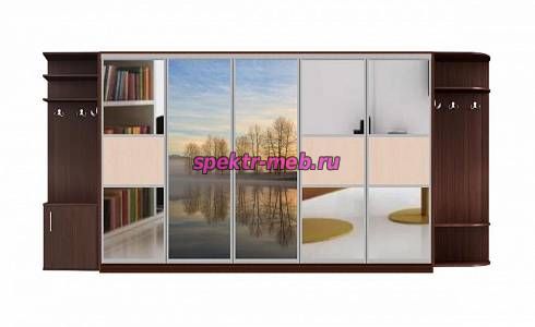 Шкаф-купе Аура 1