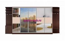 Шкаф-купе Аура 1