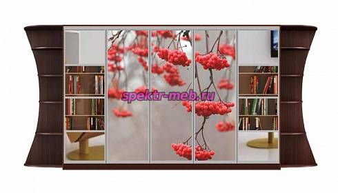 Шкаф-купе Каролина 21