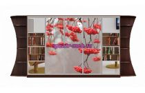 Шкаф-купе Каролина 21