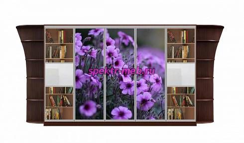 Шкаф-купе Каролина 16