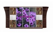 Шкаф-купе Каролина 16