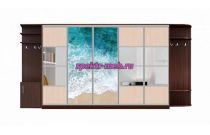 Шкаф-купе Каролина 28