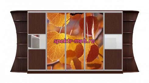 Шкаф-купе Каролина 19