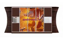 Шкаф-купе Каролина 19