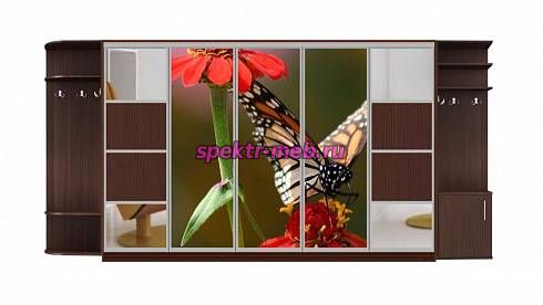 Шкаф-купе Аура 25