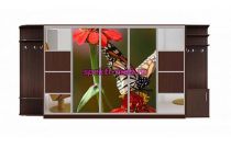 Шкаф-купе Аура 25