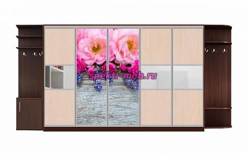 Шкаф-купе Каролина 24