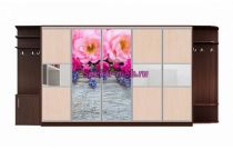 Шкаф-купе Каролина 24