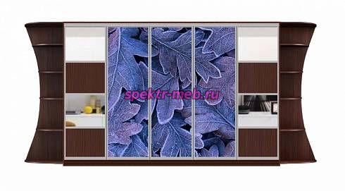 Шкаф-купе Каролина 27