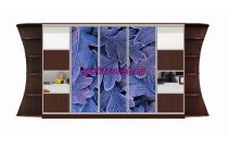 Шкаф-купе Каролина 27