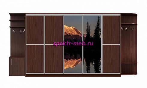 Шкаф-купе Аура 3