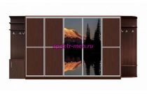 Шкаф-купе Аура 3