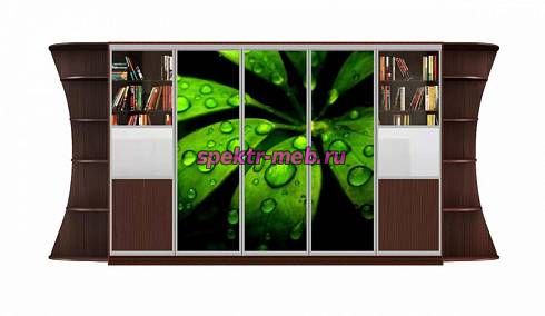 Шкаф-купе Мираж 1