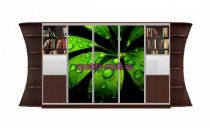 Шкаф-купе Мираж 1