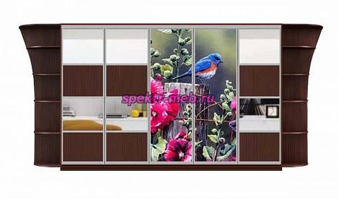 Шкаф-купе Аура 22