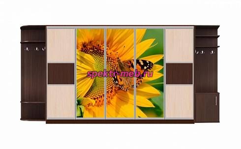 Шкаф-купе Аура 24