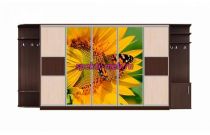 Шкаф-купе Аура 24