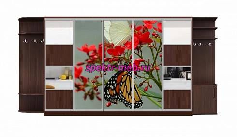 Шкаф-купе Аура 27