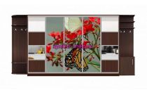 Шкаф-купе Аура 27