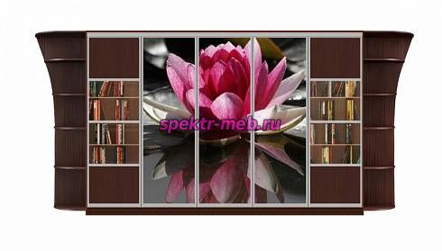 Шкаф-купе Каролина 12