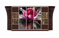 Шкаф-купе Каролина 12