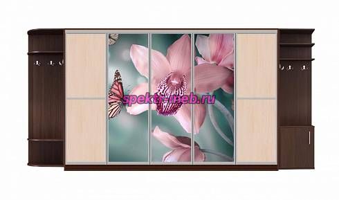Шкаф-купе Аура 28